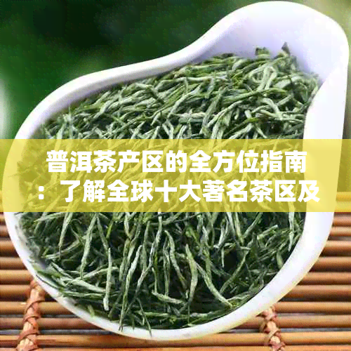 普洱茶产区的全方位指南：了解全球十大著名茶区及其特点