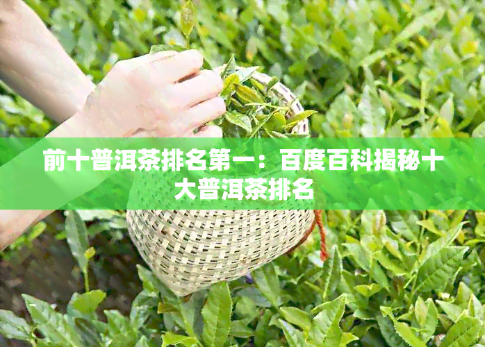 前十普洱茶排名之一：百度百科揭秘十大普洱茶排名