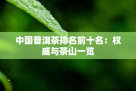 中国普洱茶排名前十名：权威与茶山一览