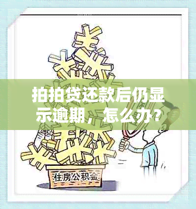 拍拍贷还款后仍显示逾期，怎么办？