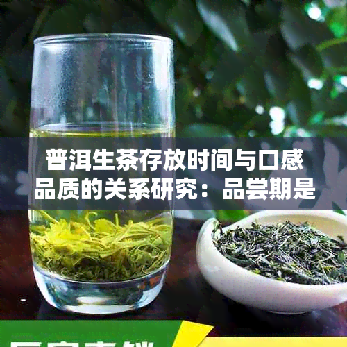 普洱生茶存放时间与口感品质的关系研究：品尝期是多久？