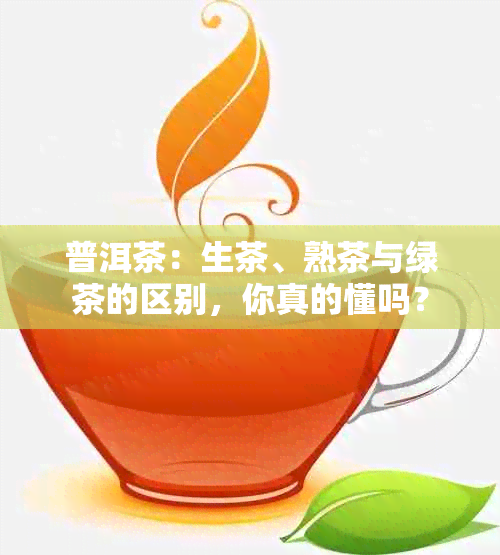 普洱茶：生茶、熟茶与绿茶的区别，你真的懂吗？