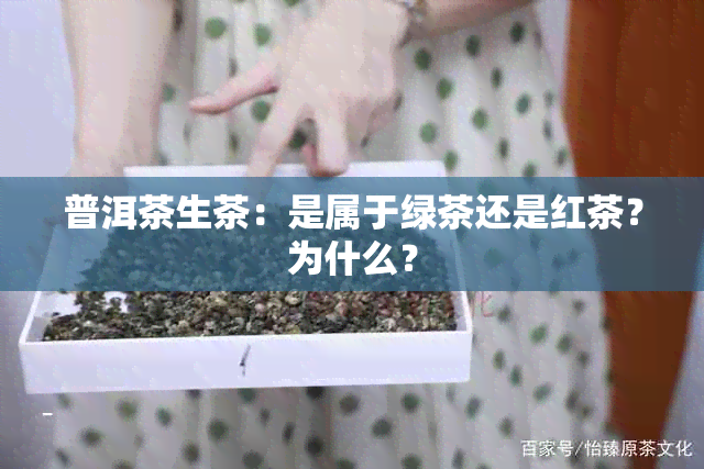 普洱茶生茶：是属于绿茶还是红茶？为什么？