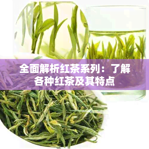 全面解析红茶系列：了解各种红茶及其特点