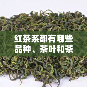 红茶系都有哪些品种、茶叶和茶类？