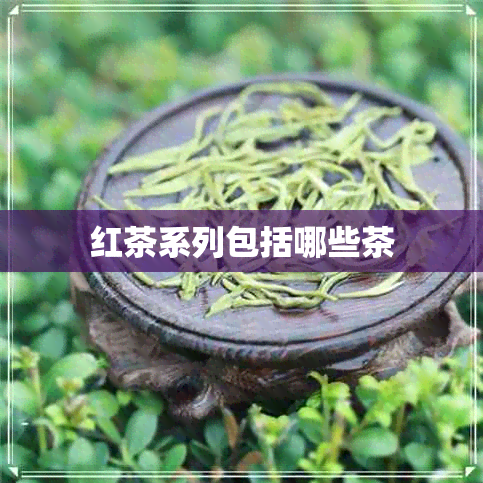 红茶系列包括哪些茶