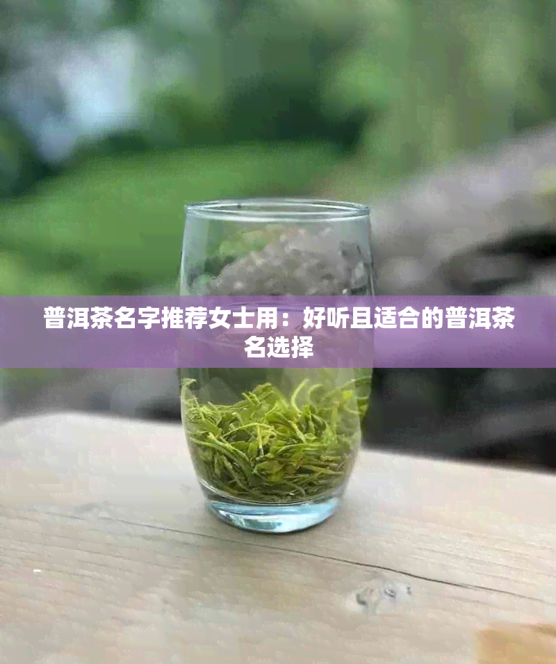 普洱茶名字推荐女士用：好听且适合的普洱茶名选择