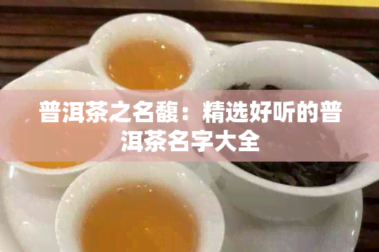 普洱茶之名馥：精选好听的普洱茶名字大全