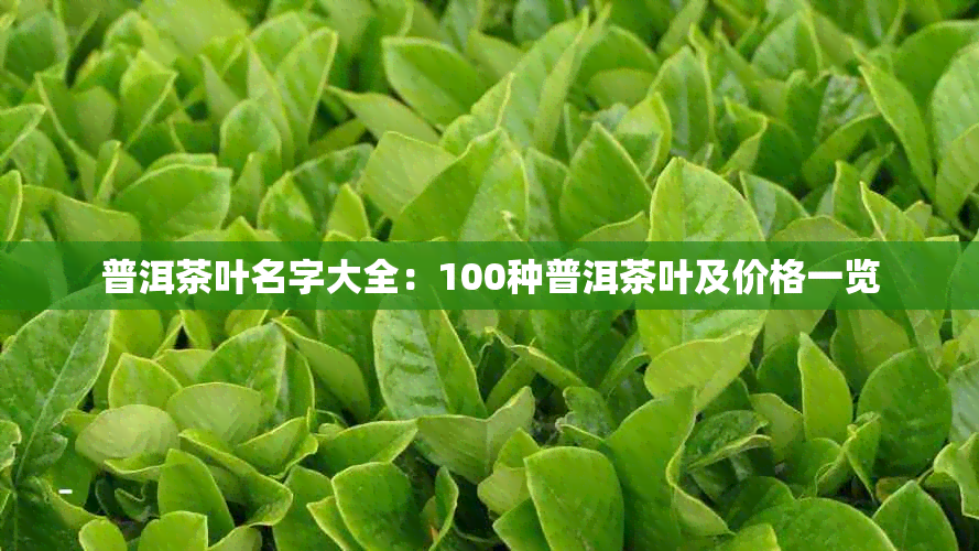 普洱茶叶名字大全：100种普洱茶叶及价格一览