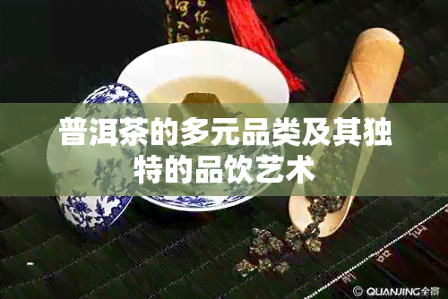 普洱茶的多元品类及其独特的品饮艺术