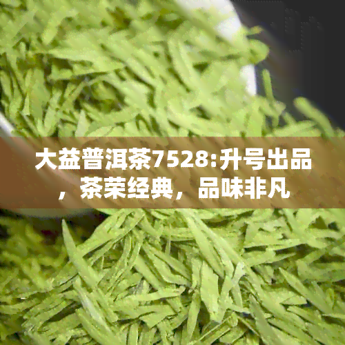 大益普洱茶7528:升号出品，茶荣经典，品味非凡