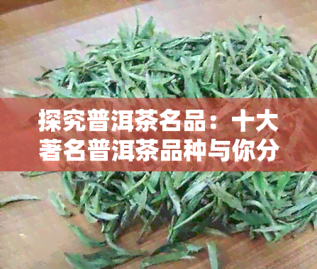 探究普洱茶名品：十大著名普洱茶品种与你分享