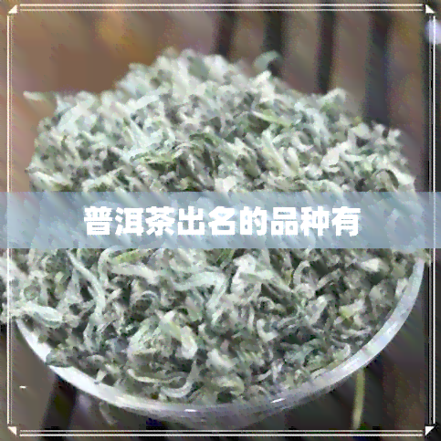 普洱茶出名的品种有