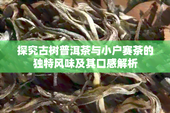 探究古树普洱茶与小户赛茶的独特风味及其口感解析