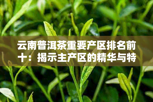 云南普洱茶重要产区排名前十：揭示主产区的精华与特色