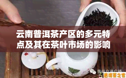 云南普洱茶产区的多元特点及其在茶叶市场的影响