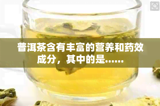 普洱茶含有丰富的营养和效成分，其中的是......