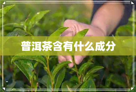 普洱茶含有什么成分