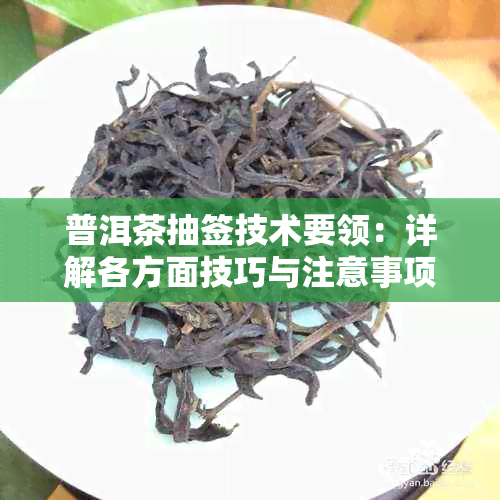 普洱茶抽签技术要领：详解各方面技巧与注意事项