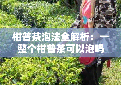 柑普茶泡法全解析：一整个柑普茶可以泡吗？如何正确冲泡柑普茶？