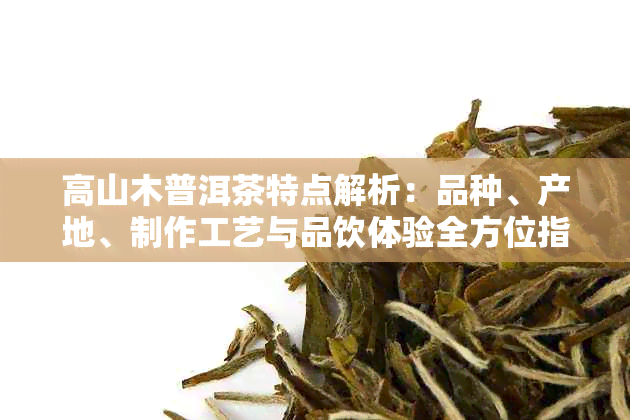 高山木普洱茶特点解析：品种、产地、制作工艺与品饮体验全方位指南