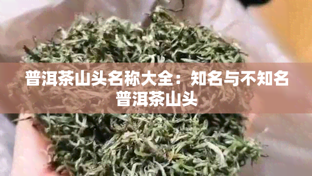 普洱茶山头名称大全：知名与不知名普洱茶山头