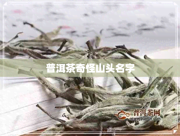 普洱茶奇怪山头名字