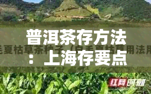 普洱茶存方法：上海存要点及注意事项，确保茶叶保持品质