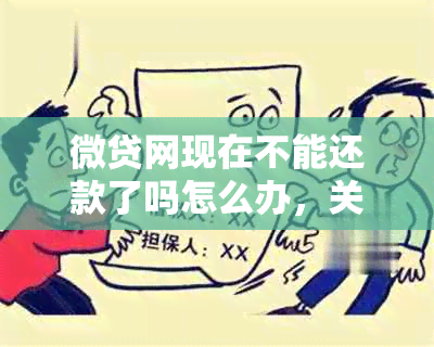 微贷网现在不能还款了吗怎么办，关于无法还款的处理方法和步骤。