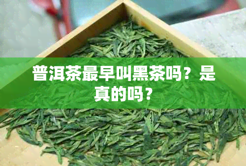 普洱茶最早叫黑茶吗？是真的吗？