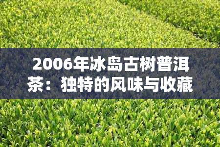 2006年冰岛古树普洱茶：独特的风味与收藏价值