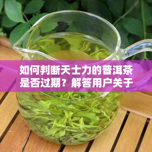 如何判断天士力的普洱茶是否过期？解答用户关于普洱茶保质期的疑问