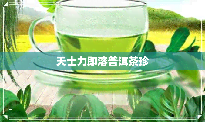 天士力即溶普洱茶珍