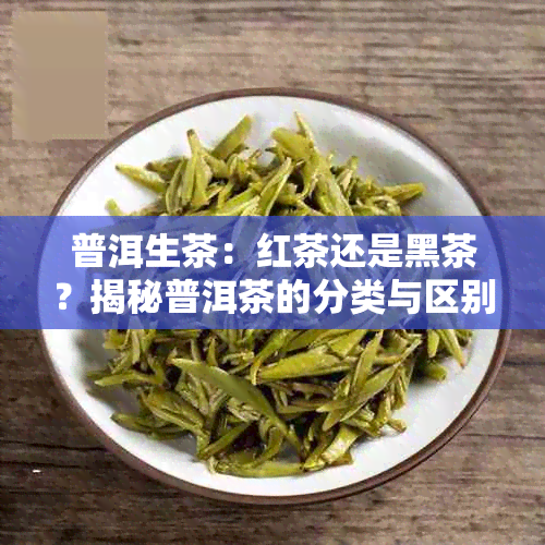 普洱生茶：红茶还是黑茶？揭秘普洱茶的分类与区别