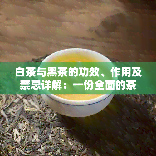 白茶与黑茶的功效、作用及禁忌详解：一份全面的茶类知识指南