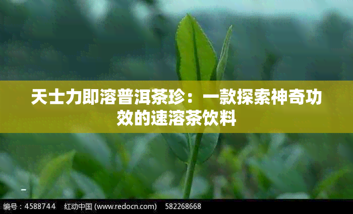 天士力即溶普洱茶珍：一款探索神奇功效的速溶茶饮料