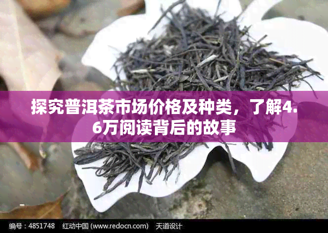 探究普洱茶市场价格及种类，了解4.6万阅读背后的故事