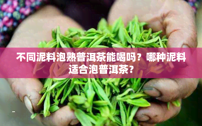 不同泥料泡熟普洱茶能喝吗？哪种泥料适合泡普洱茶？