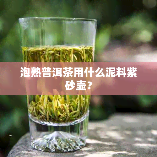 泡熟普洱茶用什么泥料紫砂壶？