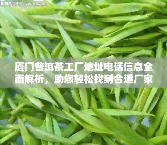 厦门普洱茶工厂地址电话信息全面解析，助您轻松找到合适厂家及联系方式