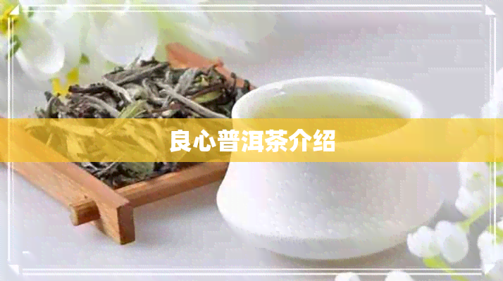 良心普洱茶介绍