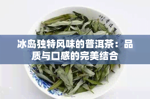 冰岛独特风味的普洱茶：品质与口感的完美结合