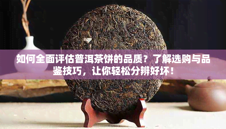 如何全面评估普洱茶饼的品质？了解选购与品鉴技巧，让你轻松分辨好坏！