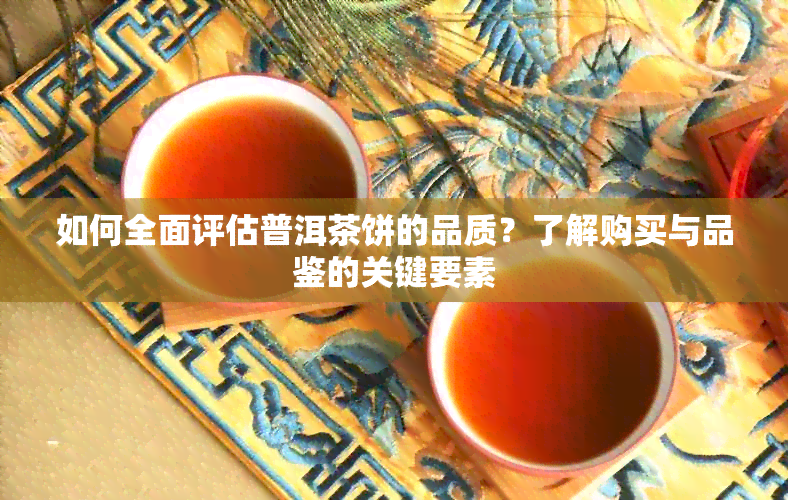 如何全面评估普洱茶饼的品质？了解购买与品鉴的关键要素