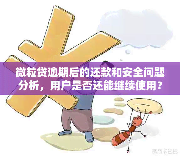 微粒贷逾期后的还款和安全问题分析，用户是否还能继续使用？