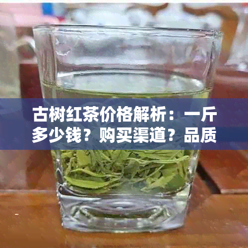 古树红茶价格解析：一斤多少钱？购买渠道？品质如何辨别？