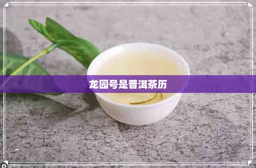 龙园号是普洱茶历