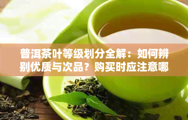 普洱茶叶等级划分全解：如何辨别优质与次品？购买时应注意哪些因素？