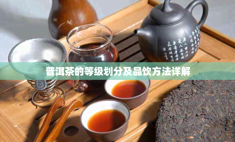 普洱茶的等级划分及品饮方法详解