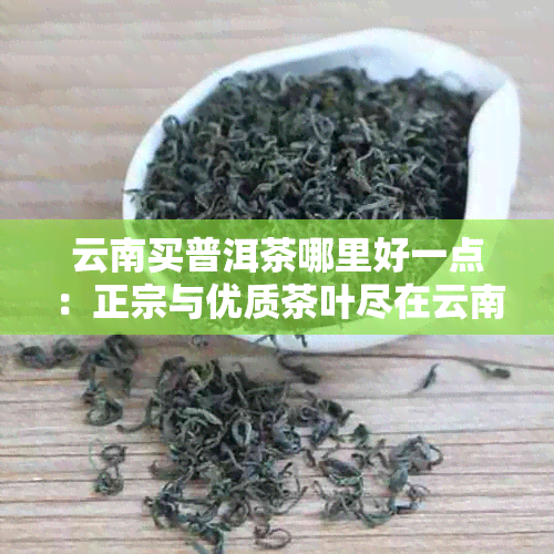 云南买普洱茶哪里好一点：正宗与优质茶叶尽在云南